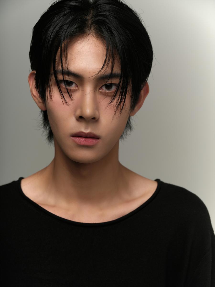 모델